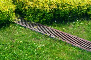 What You Need to Know About Landscape Drainage