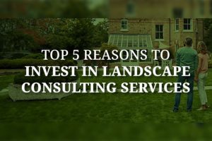 Top 5 Reasons to Invest in Landscape Consulting Services